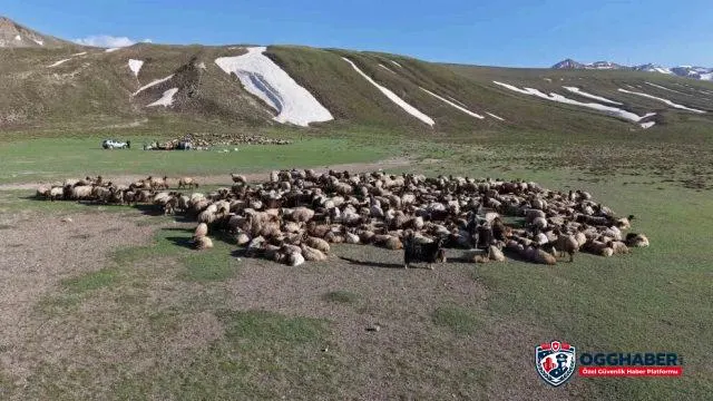 Mera yasakları kırsal ekonomiyi daraltıyor