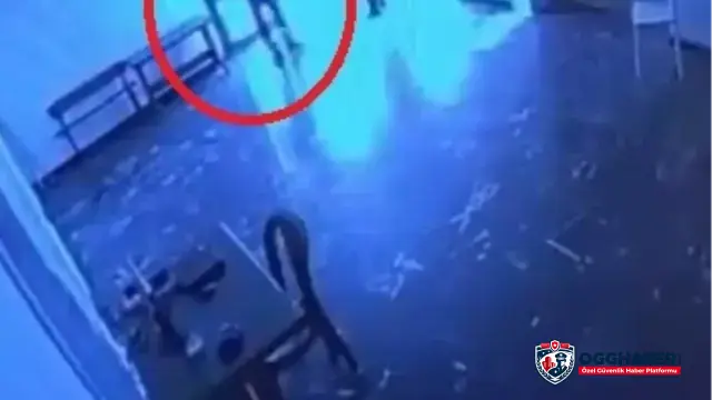 Kediye Tekme Atan Özel Güvenlik Görevlisine Soruşturma