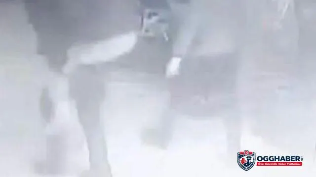 Adana'da sitenin güvenlik görevlisi, deprem anında sırtladığı yaşlı kadını 9. kattan aşağıya indirdi
