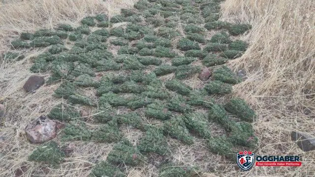 Diyarbakır'da terörün finans kaynaklarına darbe!