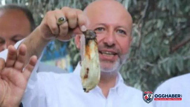 Kayseri Kocasinan'da 'Yamula Patlıcanı' için geri sayım