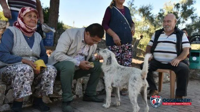 Muğla Milas'ta kentsel-kırsal ayrımı yok