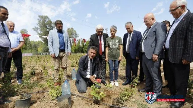 Muğla'da 'tıbbi bitkiler' bahçesi hizmete açıldı