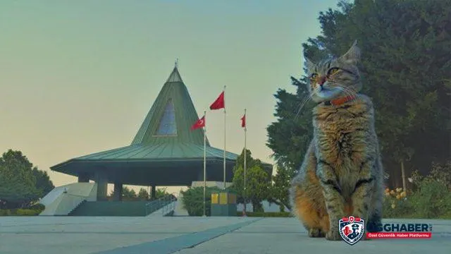 Özel Güvenlik Görevlilerinin Gözünden 100 Karede İstanbul