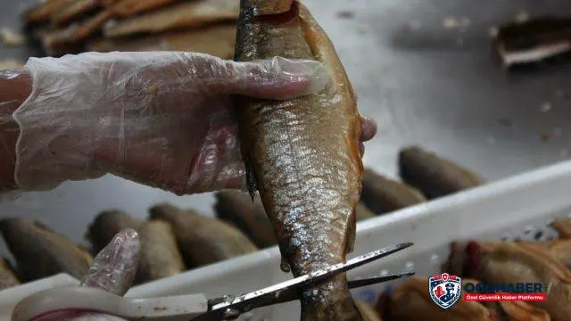 Su ürünlerinin zirvesinde Muğla ve İzmir var